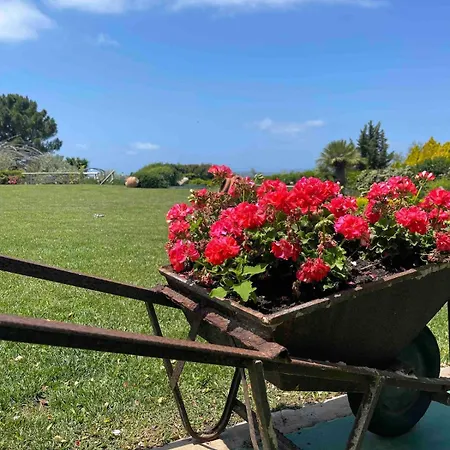 Mariolu In * Alghero